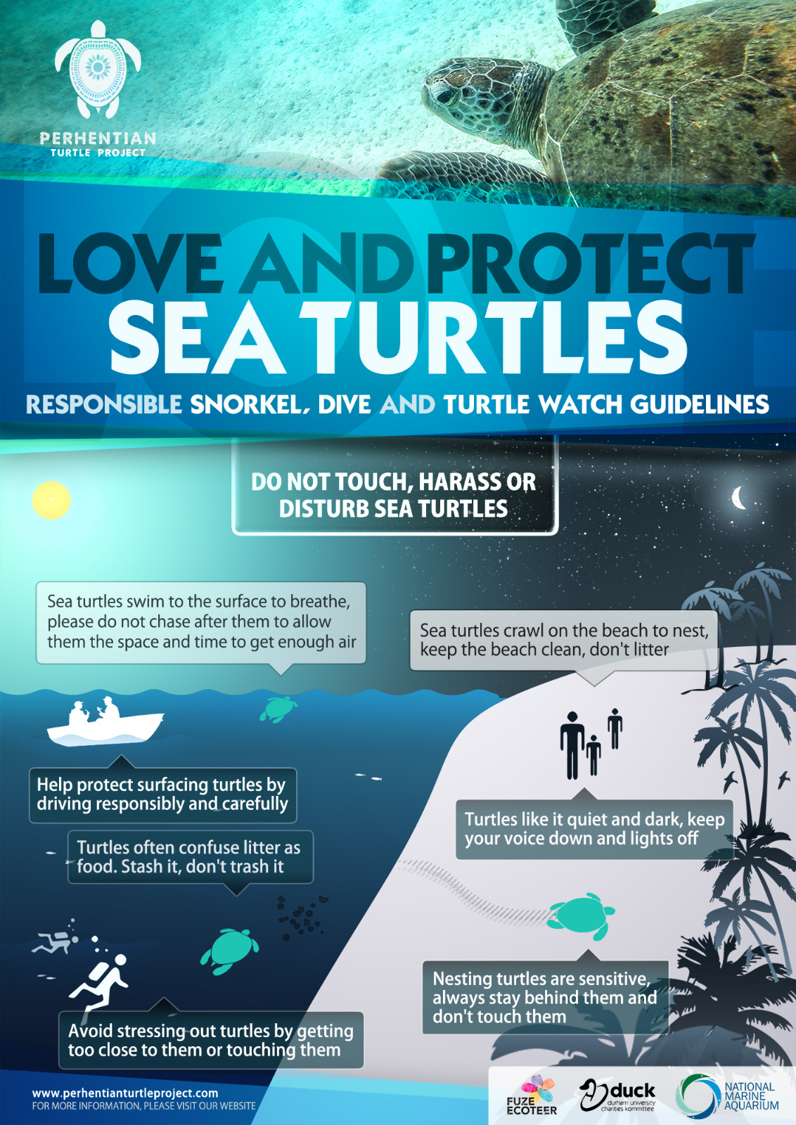An illustrated poster on responsible snorkel, dive, and turtle watch guidelines